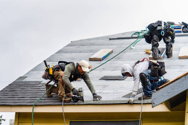 Professional Roofing technician working in Hadensville, VA